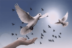 nafrat ko chhod de tu muhabbat ki baat kar