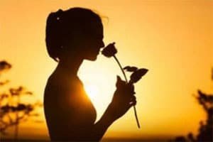 thi jiski justzoo wo haqiqat nahi mili