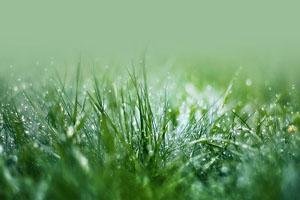 fool barse kahin shabnam kahin gauhar barse