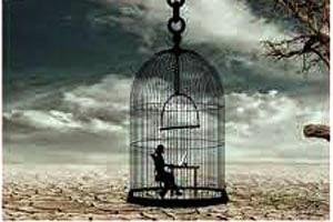 ho mubaraq tumhe tumhari udaan pinjre me