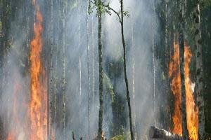 sab jal gaya jalte hue khwabo ke