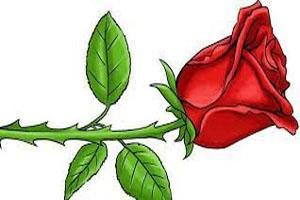 kaante hi chubhan de zaruri to nahi hai