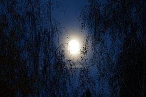 sahar ne andhi gali ki taraf nahi dekha