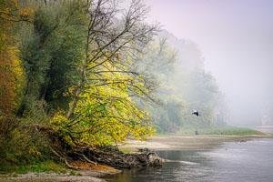 khanzar se karo baat na talwar se pucho